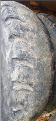 Tyre Image